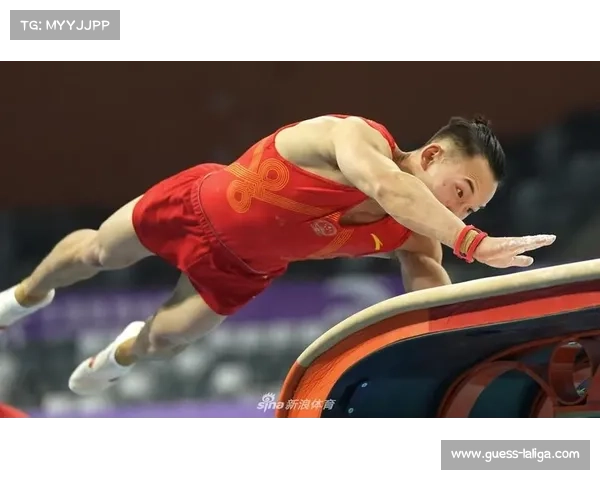 法国选手昆汀雅贝特夺得FEI马背体操欧洲锦标赛男子个人金牌 法国选手昆汀雅贝特夺得FEI马背体操欧洲锦标赛男子个人金牌